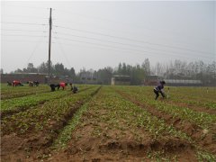 土壤養(yǎng)分速測(cè)儀的速測(cè)方法是什么？