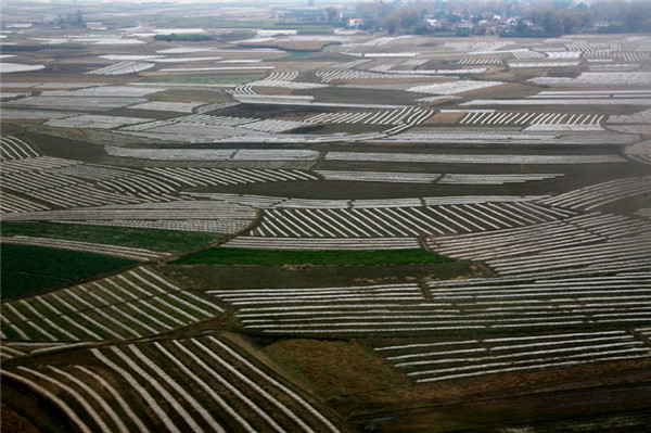 土壤養(yǎng)分速測(cè)儀分析園林樹木土壤肥力