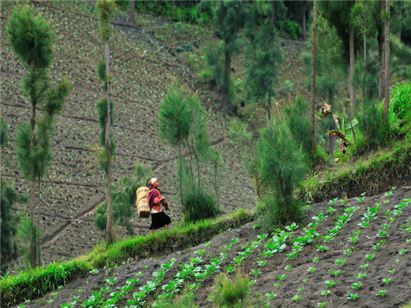 土壤墑情監(jiān)測站可提供全面的信息服務