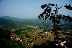 土壤水分速測(cè)儀在連翹種植中效果如何？