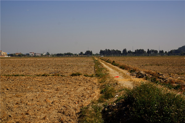 土壤養(yǎng)分速測(cè)儀保障我國(guó)耕地質(zhì)量