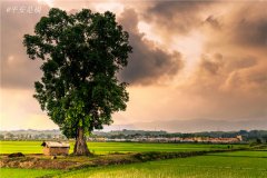 土壤水分速測儀主要有哪些優(yōu)點？