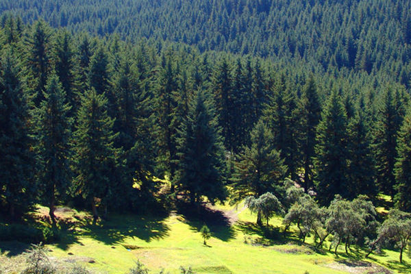 土壤墑情檢測(cè)儀