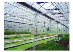 土壤墑情監(jiān)測系統(tǒng)可以指導(dǎo)溫室灌溉嗎