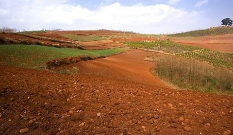 取樣方式不同對土壤墑情監(jiān)測精度有影響嗎？