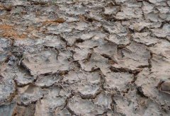 土壤墑情監(jiān)測系統(tǒng)在物聯(lián)網(wǎng)浪潮下的升級換代