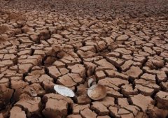 遠程墑情自動監(jiān)測系統(tǒng)設計思路