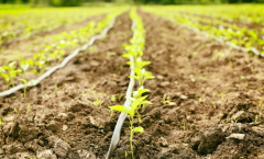 為什么要開展土壤墑情監(jiān)測(cè)工作？