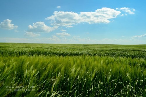 智慧農(nóng)業(yè)帶來(lái)了什么？